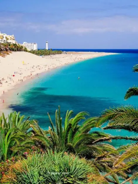 Fuerteventura-Spain