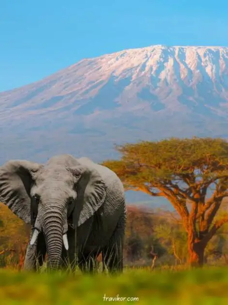 Mount-Kenya-in-Kenya
