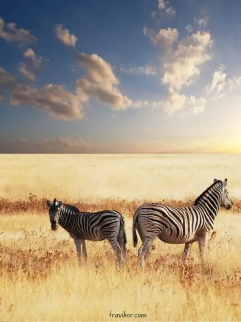 Namibia
