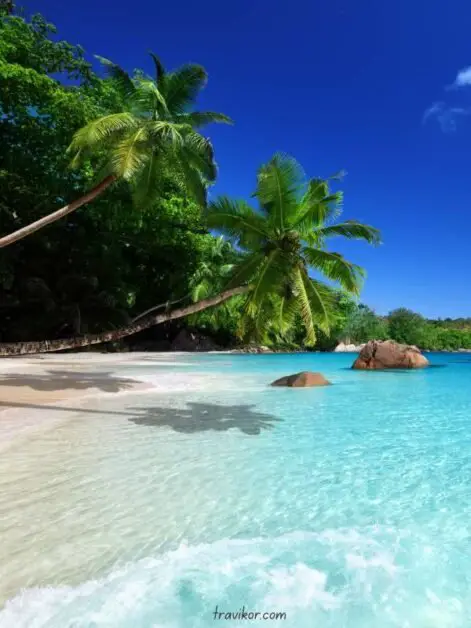 This may contain: an aerial view of a beach with clear water and blue skies in the background
