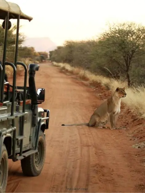 Zambia-safest-places-to-travel-in-africa