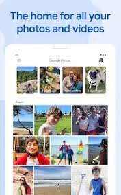 This-may-contain-of-google-photo-image