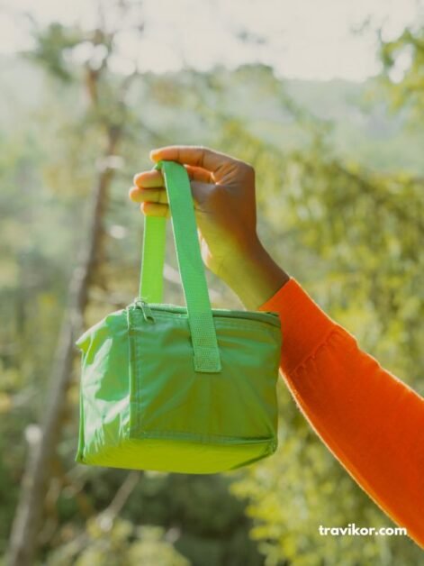 Lunch-Cooler-bag