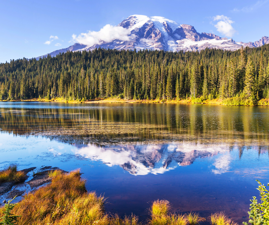 Mount Rainier National Park,USA